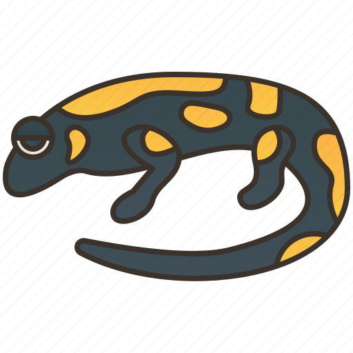 Animal, colorful, europe, fire, salamander icon - Download on Iconfinder