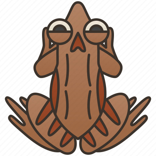 Amphibian, bull, frog, indian, ingrinus icon - Download on Iconfinder