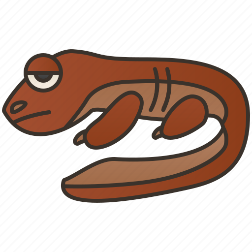 Amphibian, giant, japanese, river, salamander icon - Download on Iconfinder