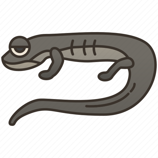 Ambystoma, animal, jefferson, mole, salamander icon - Download on Iconfinder