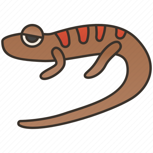 American, dusky, fauna, northern, salamander icon - Download on Iconfinder