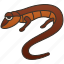 long, salamander, slender, tail, wildlife 