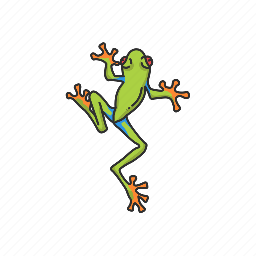 Animal, carnivorous, frog, toad, tree frog icon - Download on Iconfinder