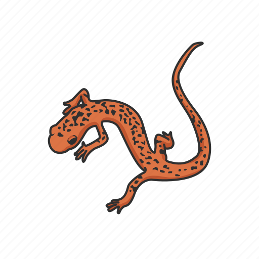 Amphibian, animal, cave salamander, salamander, tail salamander, vertebrates icon - Download on Iconfinder