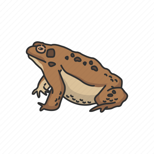 American frog, carnivorous, frog, toad, vertebrates icon - Download on Iconfinder
