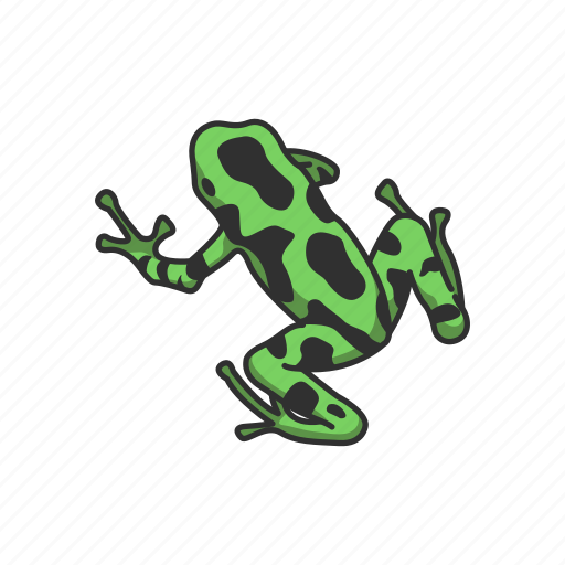 Amphibian, animal, frog, poison dart frog, toad, vertebrates icon - Download on Iconfinder