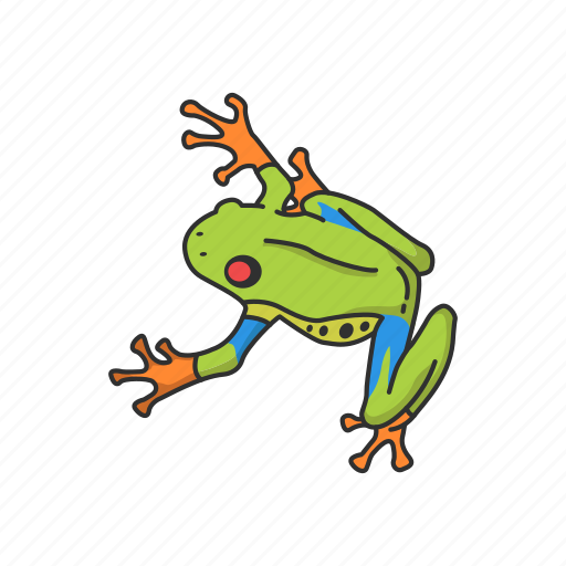 Amphibian, animal, carnivorous, frog, toad, tree frog, vertebrates icon - Download on Iconfinder