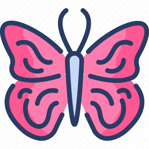 Attractive, bug, butterfly, fly, insect, moth, wings icon - Download on Iconfinder