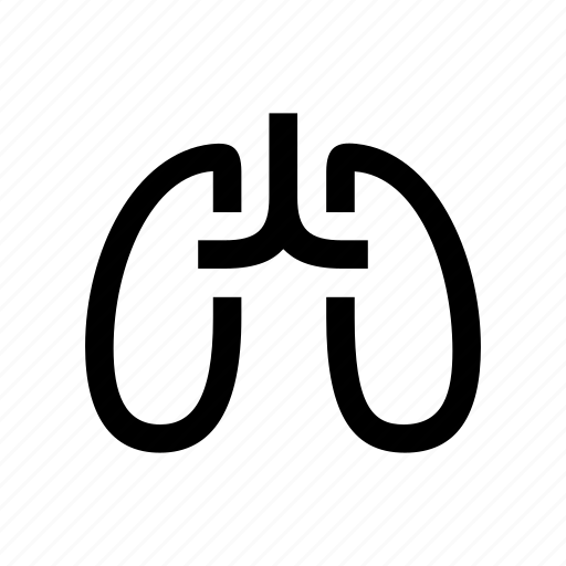 Anatomy, lungs, organ icon - Download on Iconfinder