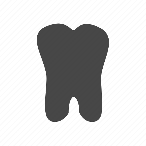 Anatomy, health, human, tooth icon - Download on Iconfinder
