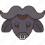 buffalo, horn, animal, wild, africa 