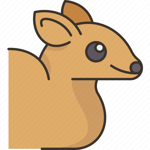 Chevrotain, mammal, wildlife, forest, nature icon - Download on Iconfinder