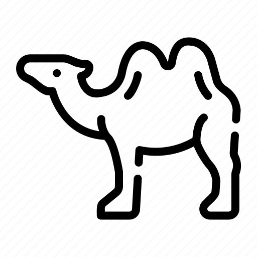 Camel, animal, wildlife, mammal, safari, desert, zoo icon - Download on Iconfinder