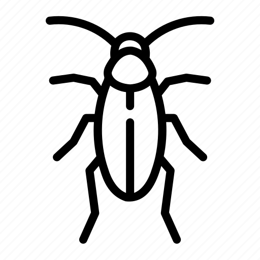 Cokroach, animal, wildlife, bug, plague, inscet, entomology icon - Download on Iconfinder