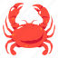 crab, seafood, sea, sealife, food 