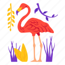 flaminggo, bird, wildlife, garden, animal