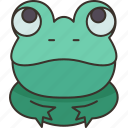 frog, amphibia, animal, pond, nature