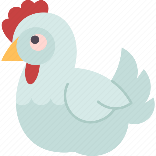 Chicken, hen, poultry, farm, eggs icon - Download on Iconfinder