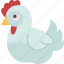 chicken, hen, poultry, farm, eggs 