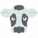 cow, cattle, domestic, farm, grassland