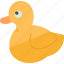 duck, waterfowl, poultry, animal, feather 