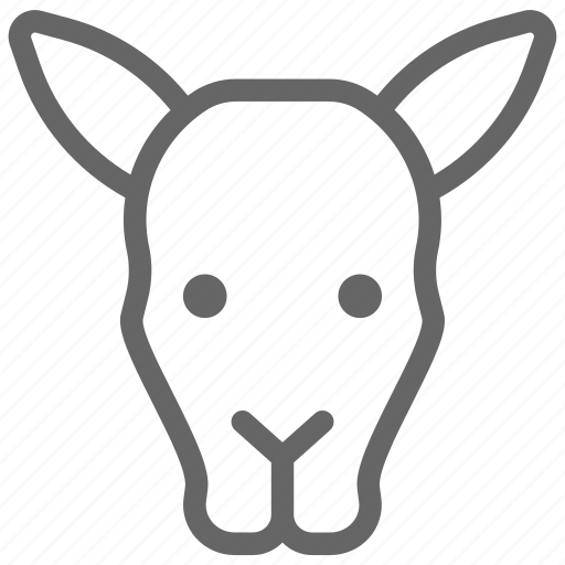 Animal, kangaroo, wild, wildlife icon - Download on Iconfinder