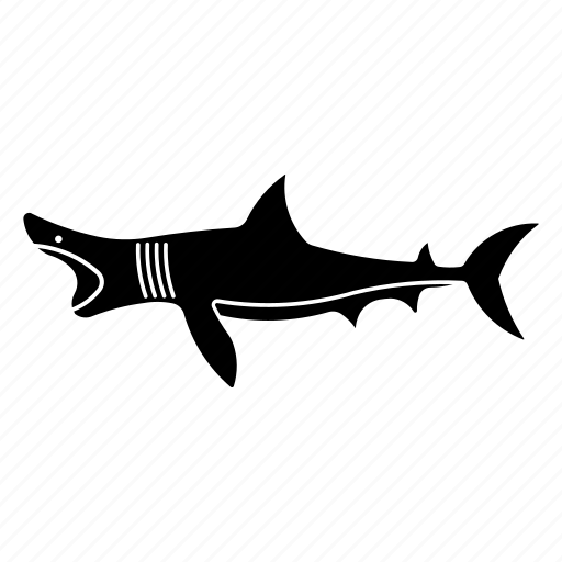 Basking, ocean, predator, sea, shark icon - Download on Iconfinder