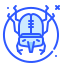 bug 