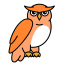 owl, nocturnal, bird, nature, cute owl 