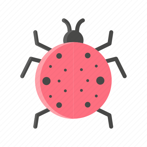 Animal, bug, ladybug, pest icon - Download on Iconfinder