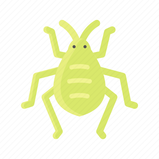 Animal, bug, cricket, insect, natural, pest icon - Download on Iconfinder