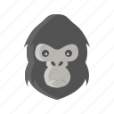 animal, chimpanze, gorilla, harambe, mammals, monkey
