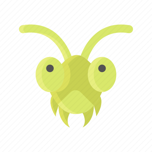 Animal, bug, grasshopper, insect, nature, pest icon - Download on Iconfinder