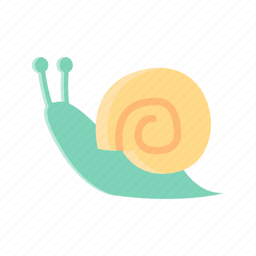 Animal, slow, small, snail, turbo icon - Download on Iconfinder