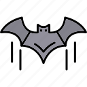 bat, animal, bats, halloween, horror, scary, spooky