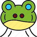 frog, amphibian, swamp, toad, wildlife, zoo