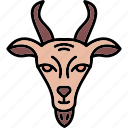 goat, animal, horns, nature, ram