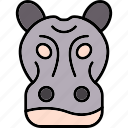 hippopotamus, animal, cute, face, head, hippo, portrait