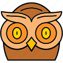 owl, education, learning, school, wisdom, wise, bird, knowledge, night
