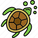 turtle, reptile, shell, shield, slow