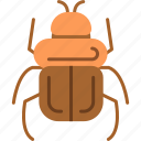 beetle, bug, computer, moth, virus