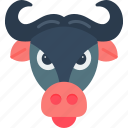 buffalo, animal, cow, farm, zoo