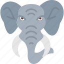 elephant, animal, mammal, material, trunk, wild