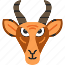 gazelle, antelope, deer, fast, herbivores, horn, mammal