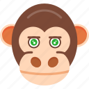 monkey, gorilla, animal, wildlife, zoo