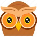 owl, education, learning, school, wisdom, wise, bird, knowledge, night
