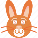 rabbit, animal, nature, running, bunny, easter, hare