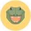 alligator, crocodile, predator, reptile, wild 