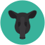 tapir, animals, herbivorous mammal, mammal, mountain tapir, pig-like 