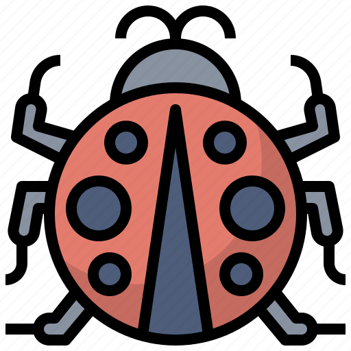 Animal, kingdom, ladybug, life, wild, zoo icon - Download on Iconfinder